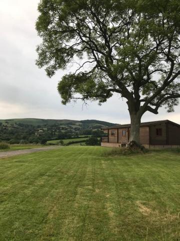 Redwood Lodge Ludlow Exterior foto